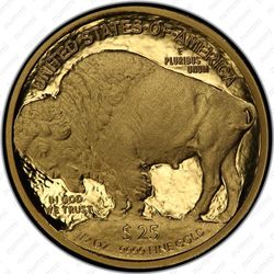 25 долларов 2008, буффало