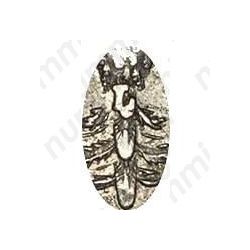 полтина 1719, L