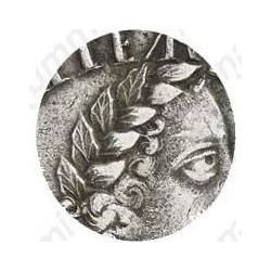 полтина 1702, портрет нового образца, венок без ленты, голова большая, корона закрытая