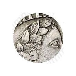 полтина 1702, портрет нового образца, венок без ленты, голова средняя, в венке 7 листьев