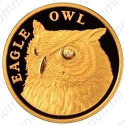 500 тенге 2011, филин