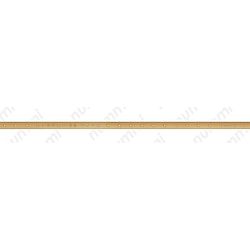 1 доллар 2015, Сакагавея - Гурт