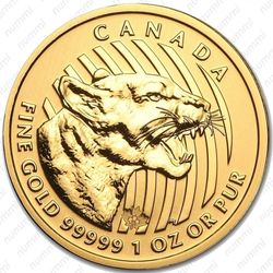 200 долларов 2015, рычание пумы