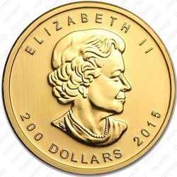 200 долларов 2015, рычание пумы