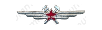 Нагрудный знак специалиста инженерно-авиационной службы (ИАС)