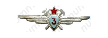 Нагрудный знак военного техника-го класса