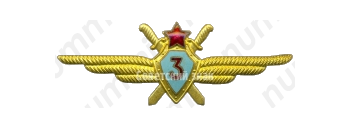 Нагрудный знак военного летчика-го класса