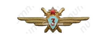 Нагрудный знак военного летчика-го класса