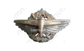 Знак «7 военная школа летчиков»