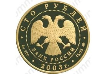 100 рублей 2003, Петрозаводск
