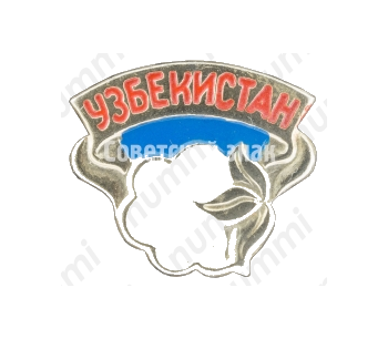 Знак «Республика Узбекистан»