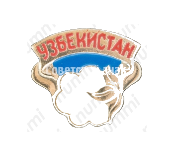 Знак «Республика Узбекистан»