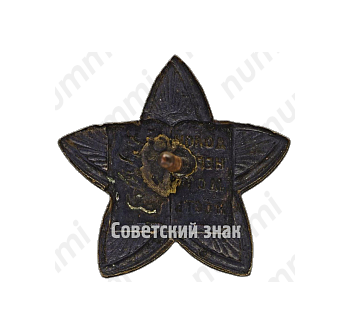 Знак Общества &lt;Долой неграмотность&gt; Узбекской ССР 