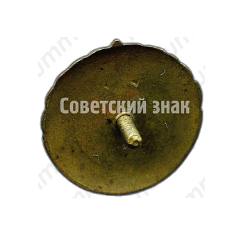 Знак «Первый разряд. Женский Волейбол»