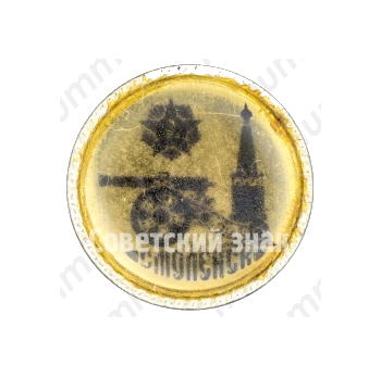 Знак «Город Смоленск. Тип 4»