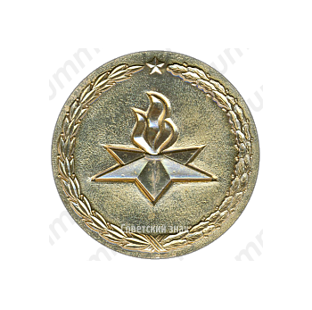 Настольная медаль «30 лет победы над фашистской Германией (1945-1975)»