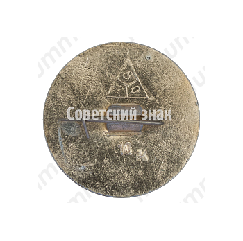 Знак «Город Владимир. Тип 8»