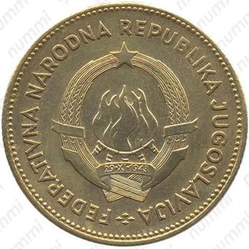 50 динара 1955
