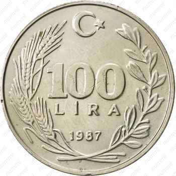 100 лир 1987 - Реверс