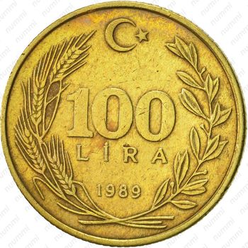 100 лир 1989 - Реверс