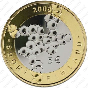 5 евро 2008, академия наук - Аверс