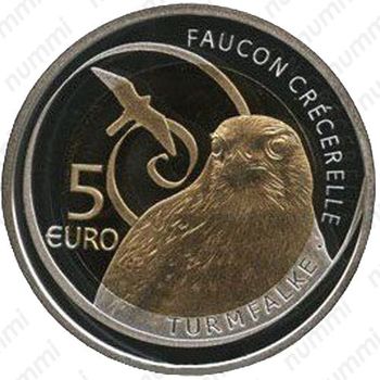 5 евро 2009, пустельга - Реверс