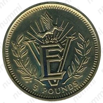 5 фунтов 1995 - Реверс