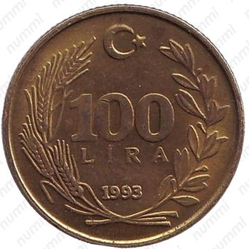 100 лир 1993 - Реверс