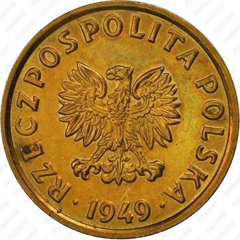 5 грошей 1949, бронза - Аверс