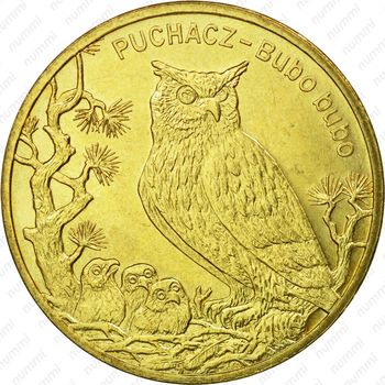 2 злотых 2005, филин - Реверс