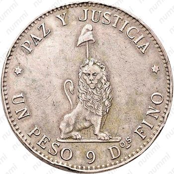 1 песо 1889 [Парагвай] - Реверс