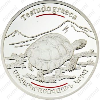 100 драмов 2006, средиземноморская черепаха [Армения] Proof - Реверс