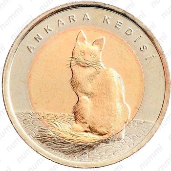 1 лира 2015, ангорская кошка [Турция] - Реверс