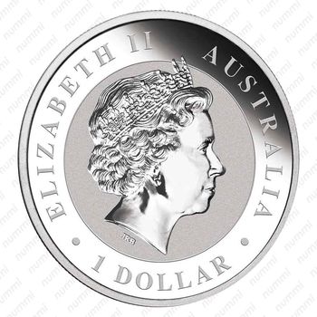 1 доллар 2016, коала [Австралия] - Аверс