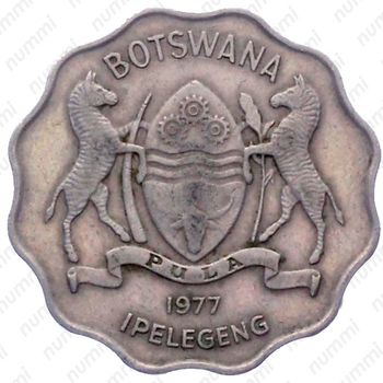 1 пула 1977 [Ботсвана] - Аверс
