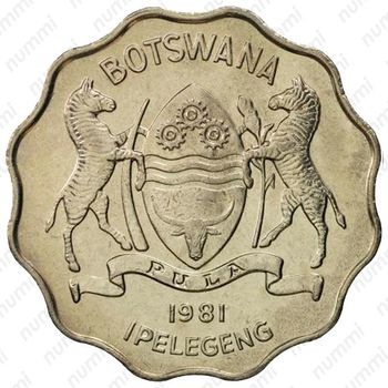 1 пула 1981 [Ботсвана] - Аверс