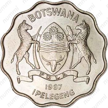 1 пула 1987 [Ботсвана] - Аверс
