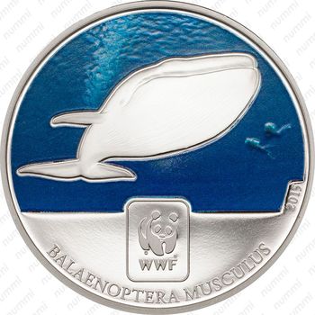 100 франков 2015, Синий кит [Центральноафриканская Республика (ЦАР)] Proof - Реверс