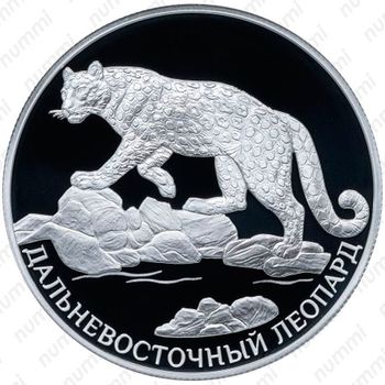 2 рубля 2019, СПМД, леопард Proof - Реверс