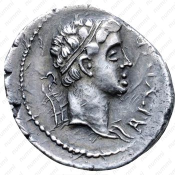 денарий (denarius) 11-23 - Аверс