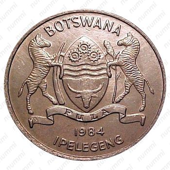 50 тхебе 1984 [Ботсвана] - Аверс