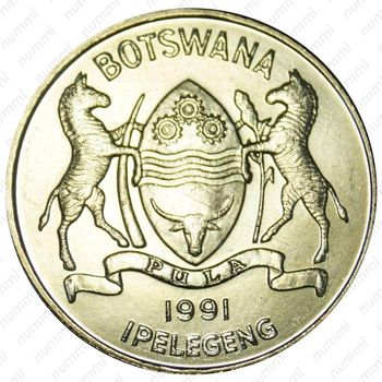 50 тхебе 1991 [Ботсвана] - Аверс
