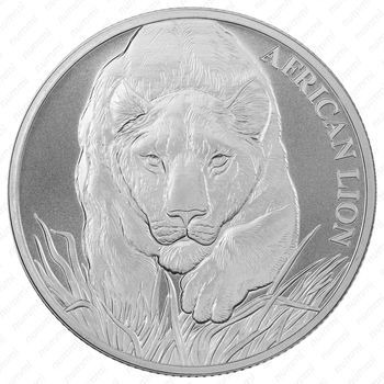 5000 франков 2017, Африканский лев (African Lion) [Чад] - Реверс