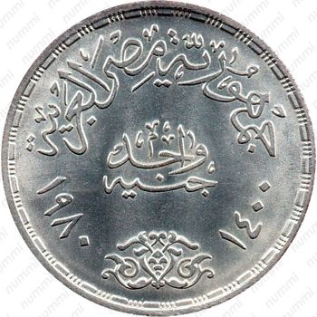 1 фунт 1980, Революция - 1971 [Египет] - Реверс
