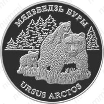 20 рублей 2002, Бурый медведь [Беларусь] - Реверс