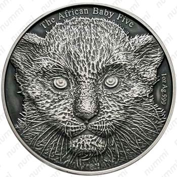 5000 франков 2014, Детеныш леопарда [Бурунди] - Реверс