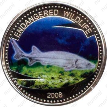 1 доллар 2008, Вымирающие виды - Осетр [Австралия] - Реверс