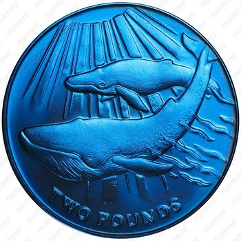 2 фунта 2013, Синий кит [Южная Георгия и Южные Сандвичевы Острова] - Реверс