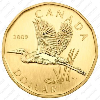 1 доллар 2009, Большая голубая цапля [Канада] - Реверс