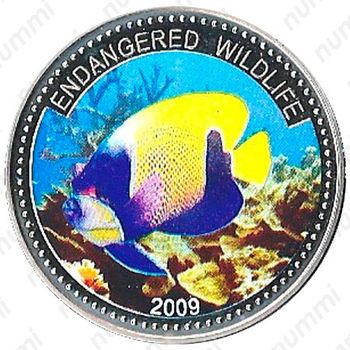 1 доллар 2009, Вымирающие виды - Рыба-ангел [Австралия] - Реверс